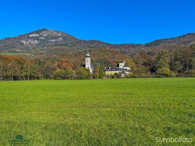 Grundstück kaufen in Salzburg