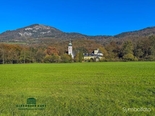 Haus kaufen in Altstadt, Salzburg