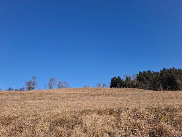 Grundstück kaufen in Steiermark