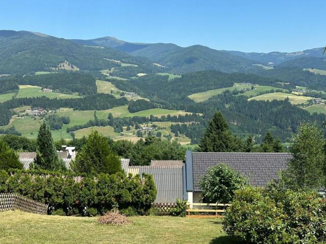 Grundstück kaufen in Reichenfels, Kärnten