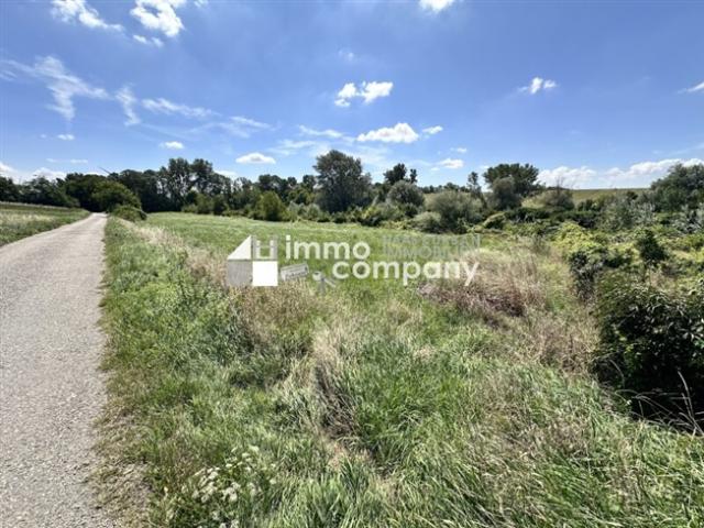 Grundstück kaufen in Prellenkirchen, Niederösterreich