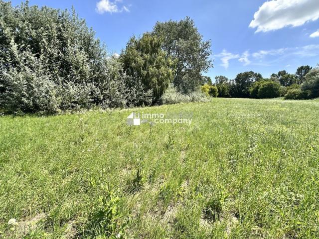 Grundstück kaufen in Prellenkirchen, Niederösterreich