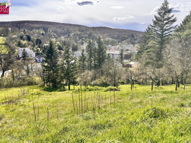 Grundstück kaufen in Klosterneuburg, Bezirk Tulln