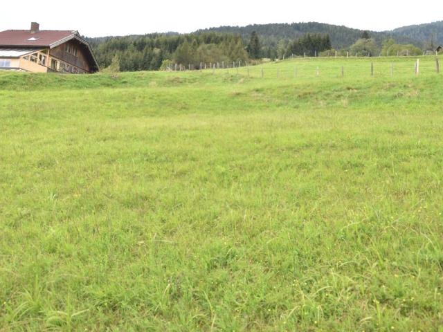 Grundstück kaufen in Arriach, Kärnten