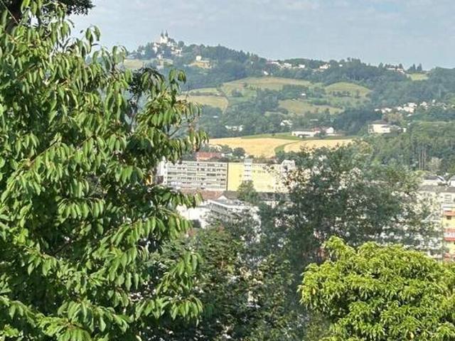 Haus kaufen in Linz