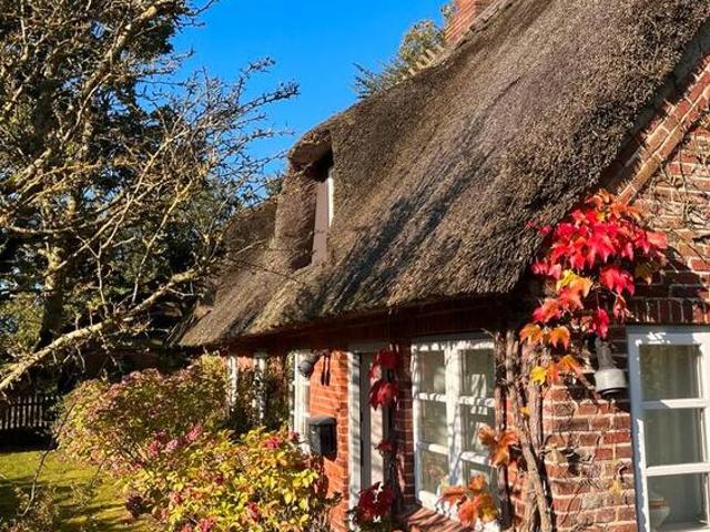 Haus kaufen in Süderbrarup, Schleswig-Holstein
