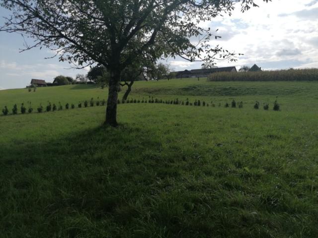 Haus kaufen in Hengsberg, Steiermark