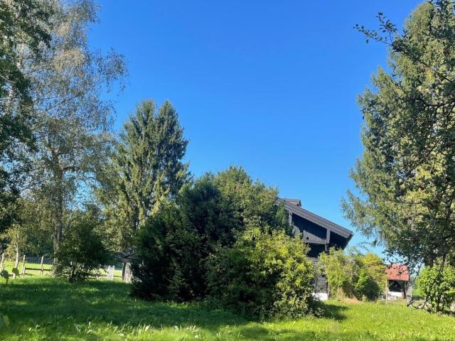Haus kaufen in Lamprechtshausen