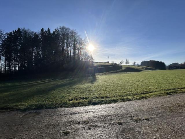 Grundstück kaufen in Regau, Oberösterreich