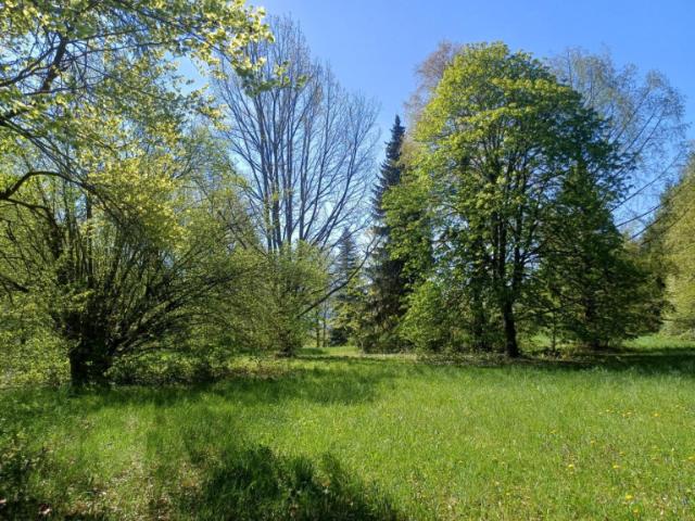 Grundstück kaufen in Mühldorf, Scharnstein