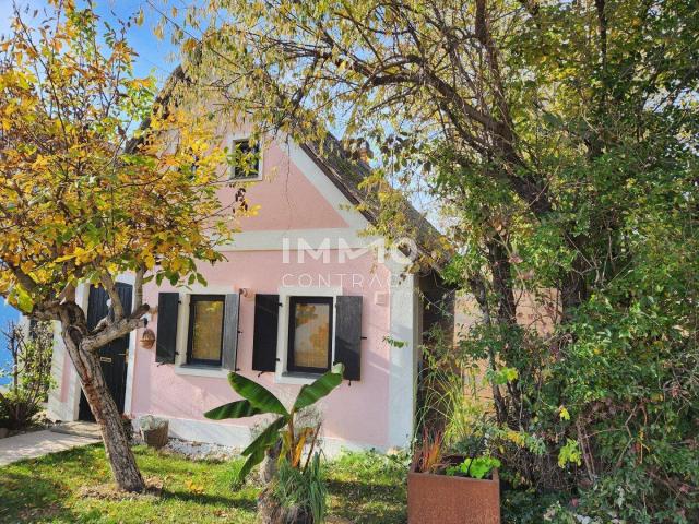 Haus kaufen in Weiden am See, Burgenland
