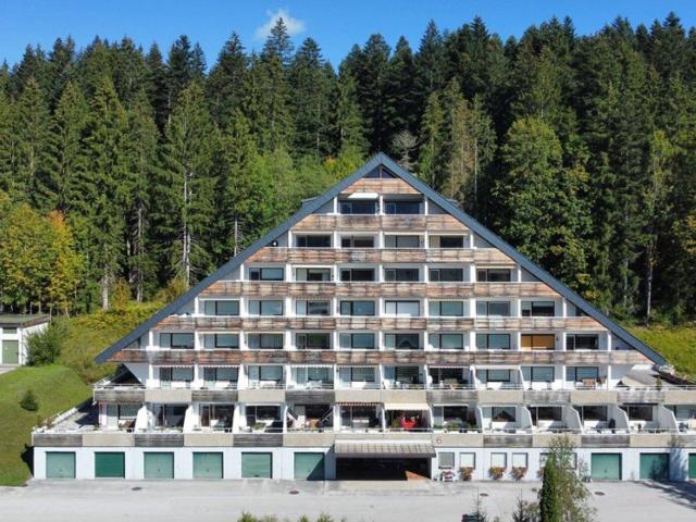 Apartment kaufen in Bad Mitterndorf, Steiermark