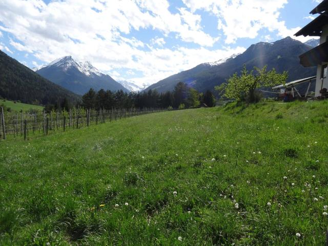 Immobilie kaufen in Telfes im Stubai, Tirol