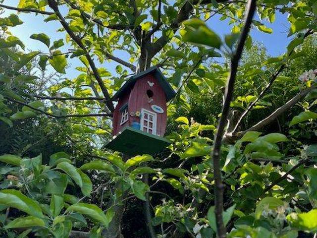 Haus kaufen in Kehl