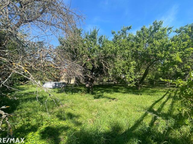 Grundstück kaufen in Traiskirchen, Niederösterreich