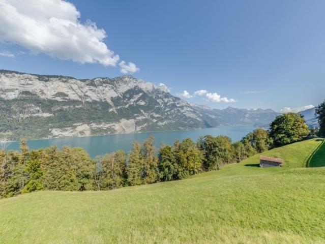 Villa kaufen in Obstalden