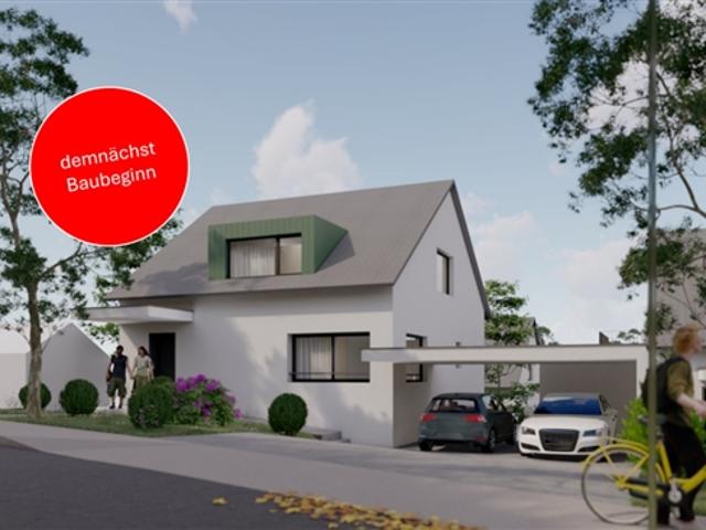 Einfamilienhaus kaufen in Nunningen, Solothurn