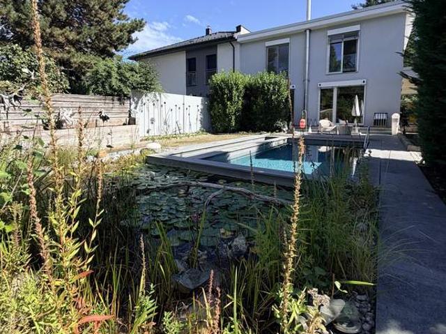 Haus kaufen in Neustadtl an der Donau, Niederösterreich
