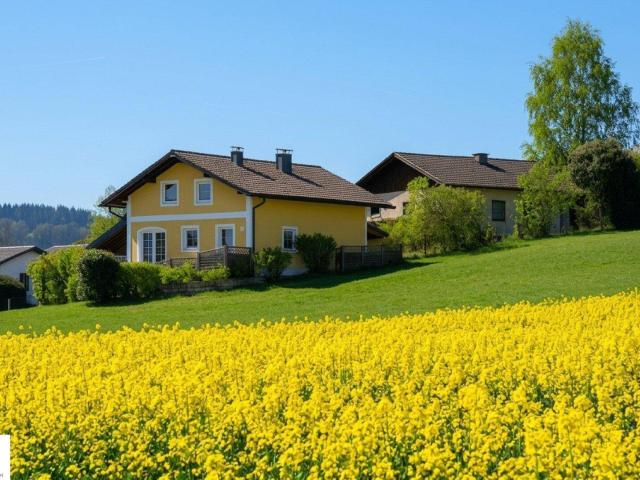Haus kaufen in Mundenham, Palting