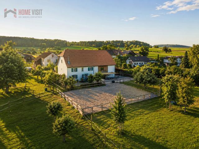 Reihenfamilienhaus kaufen in Basse-Allaine, Jura