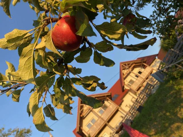 Haus kaufen in Weichselbaum, Burgenland