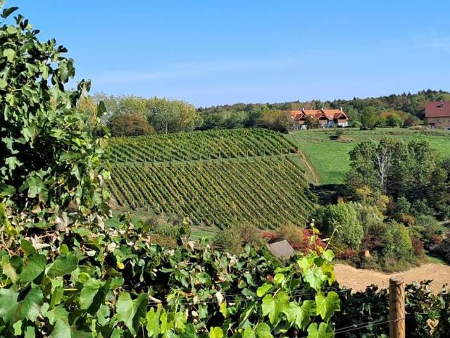 Wohnung kaufen in Bezirk Südoststeiermark, Steiermark