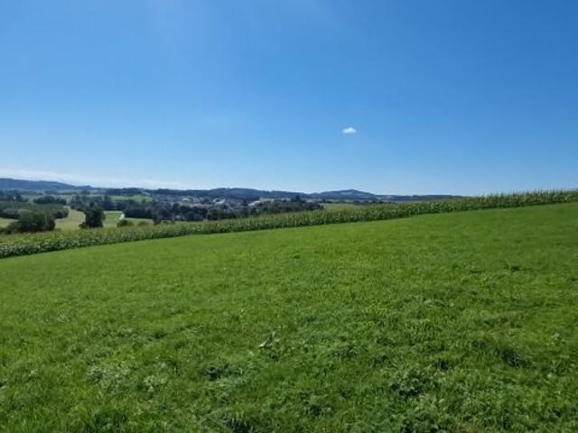 Landwirtschaft kaufen in Bodendorf, Katsdorf