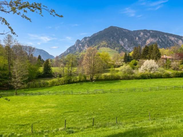 Grundstück kaufen in Neunkirchen, Niederösterreich