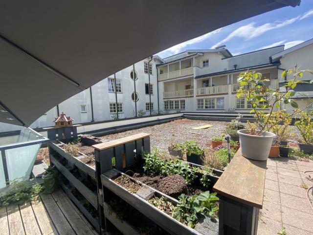 Wohnung mieten in Hallein, Salzburg