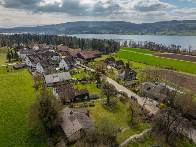 Reihenfamilienhaus kaufen in Uster, Zürich