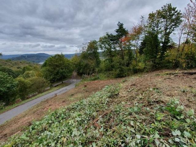 Erdgeschosswohnung kaufen in Reil, Rheinland-Pfalz