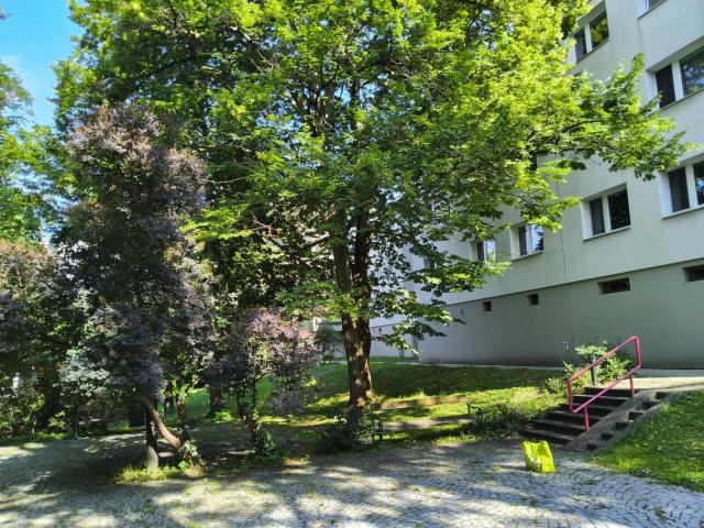 Apartment kaufen in Maurer Dörfl, Wien