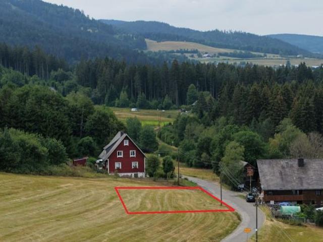 Erdgeschosswohnung kaufen in Hinterzarten, Baden-Württemberg