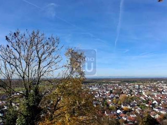 Erdgeschosswohnung kaufen in Weingarten, Baden-Württemberg