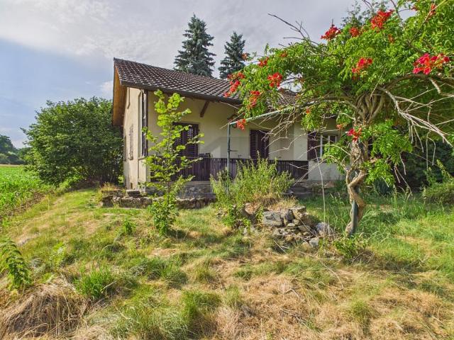 Haus kaufen in Leutwil, Aargau