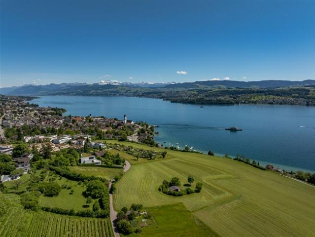 Einfamilienhaus kaufen in Meilen, Zürich