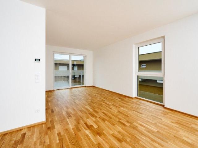 Apartment mieten in Steiermark