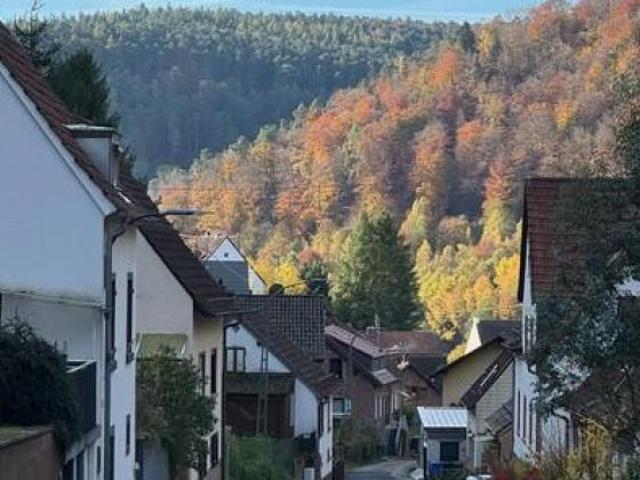 Wohnung kaufen in Neidenfels, Landkreis Bad Dürkheim