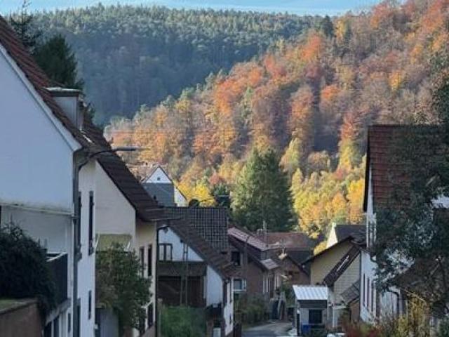 Wohnung kaufen in Neidenfels, Rheinland-Pfalz