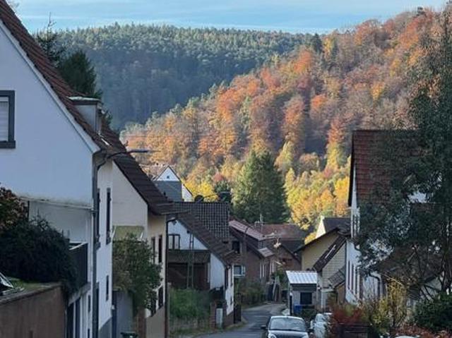 Wohnung kaufen in Weidenthal, Rheinland-Pfalz