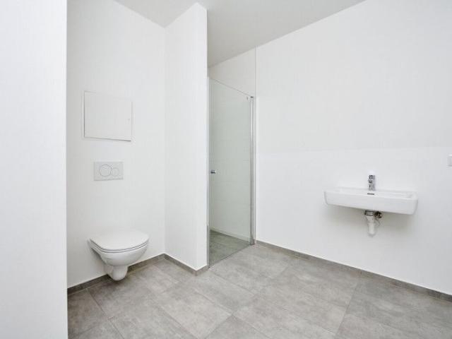 Apartment mieten in Puntigam, Gersdorf-Feistritz