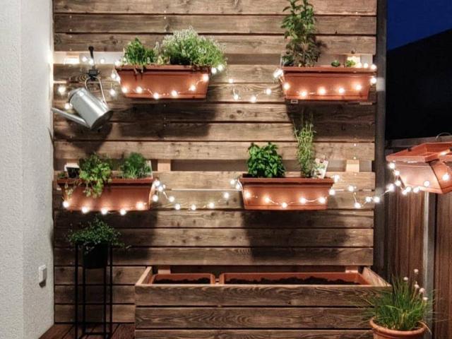 Apartment mieten in Langenstein, Oberösterreich