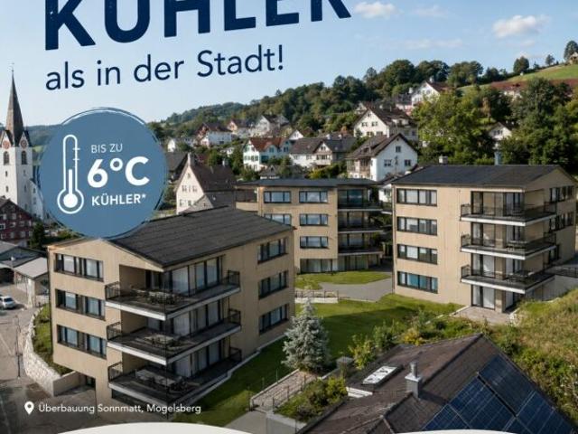 Immobilie kaufen in Nassen, St. Gallen