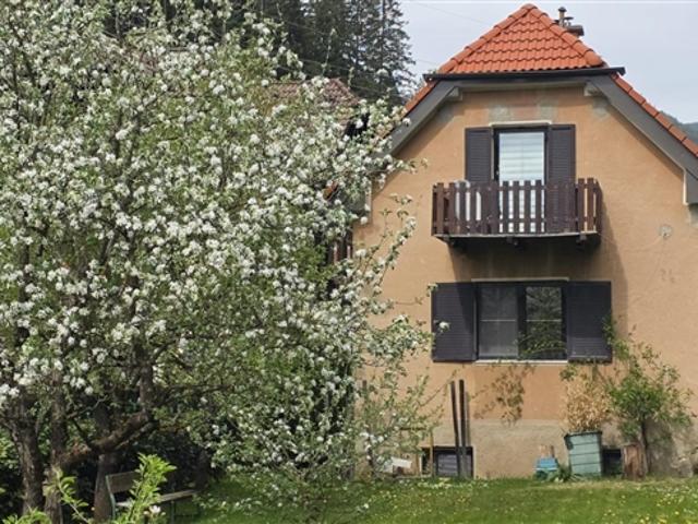 Einfamilienhaus kaufen in Gai, Steiermark