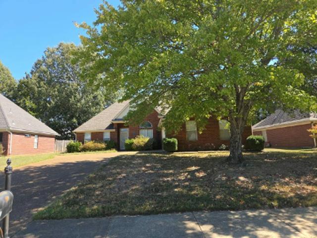 House for sale in Olive Branch, DeSoto County