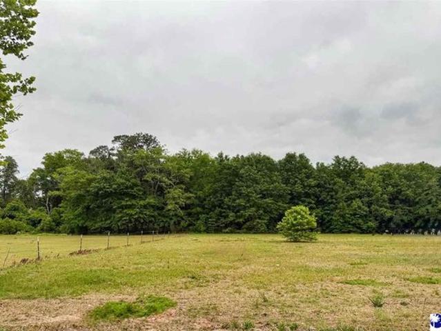 Land for sale in Latta, South Carolina