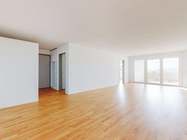 Apartment mieten in Widen, Bezirk Bremgarten