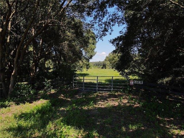 Land for sale in Eustis, Florida