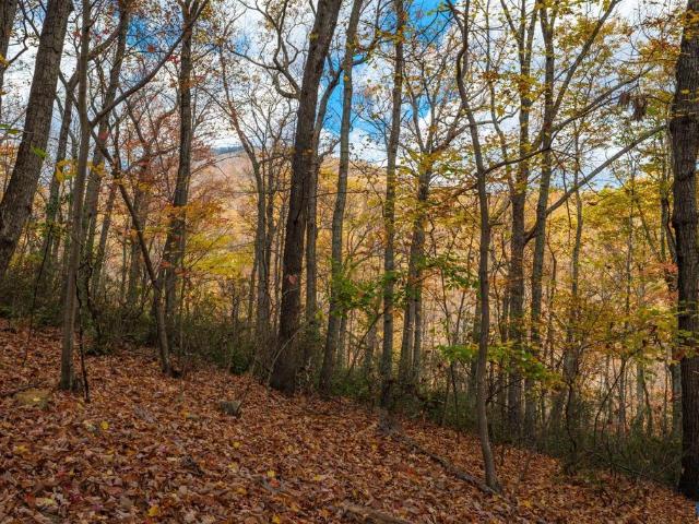 Land for sale in Nellysford, Nelson County