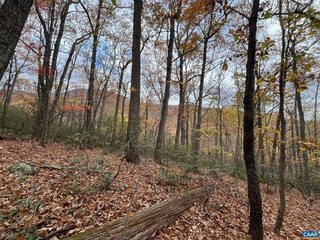Land for sale in Nellysford, Nelson County